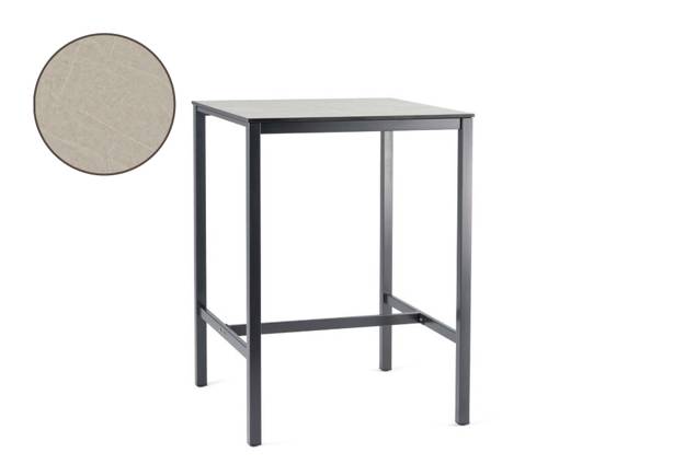 Schilthorn Table de bar acier inoxydable 80x80 cm