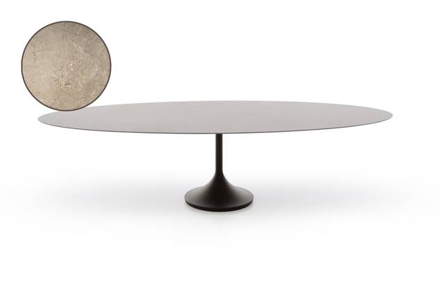 Ontario Table de jardin acier inoxydable 300x128 cm