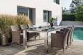 Aletsch Gartentisch Edelstahl 260x100 cm 6