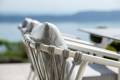 Seattle Chaise de jardin empilable aluminium 8