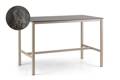 Schilthorn Table de bar acier inoxydable 200x100 cm