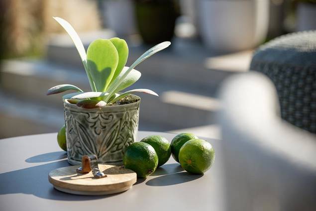 Granada Table de salon acier Ø 65 cm 2